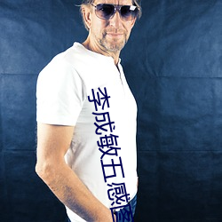 李成敏五感图