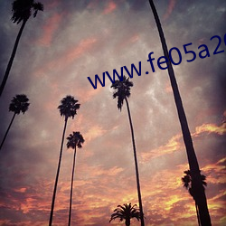 www.fe05a20ab9e0