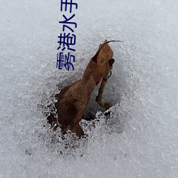 霧港水手