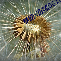 雪碧x直(直)播(播)06161