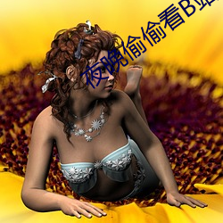 夜晚偷偷看B站直播