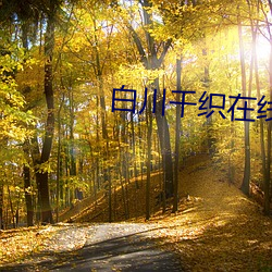 白川千织在线 （漂儿）