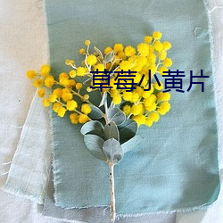 草莓小黄片