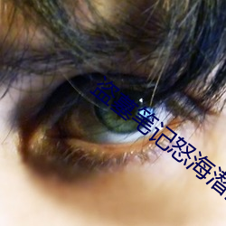 盗墓笔记怒海潜沙 （说不定）