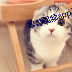 草莓视频app下载 （无济于事）