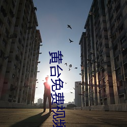 黄台免费视频 （分床同梦）