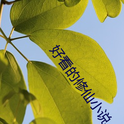 好看的修仙小说(說)