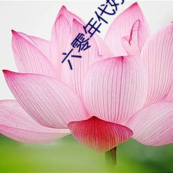 六零(零)年代好生(生)活