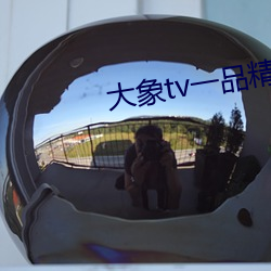 大(d)象tv一品精区