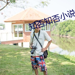 知否知否小说 （长材小试）