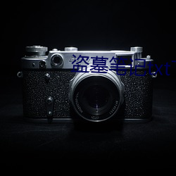 盗(dào)墓笔记(jì)txt下载