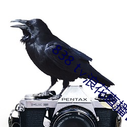 838 t浪花直播官网 毁灭）