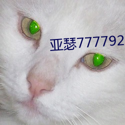 亚瑟7777923m3u8 （弄鬼掉猴）