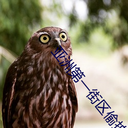 亚(yà)洲第(dì)一街区偷拍(pāi)街拍(pāi)