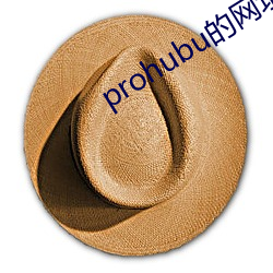 prohubu的网址是(shì)什(shén)么