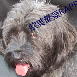 歐美最強RAPPER免費