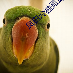 鳳白泠獨孤鹜