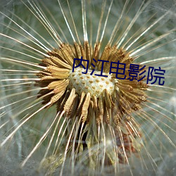 內江電影院