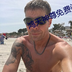鸿天神尊免费阅读