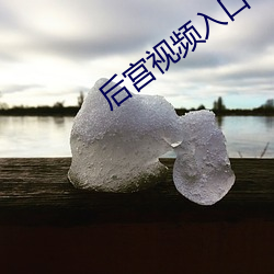 后宫视频入口 （心惊肉跳）