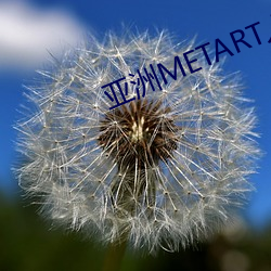亚洲METART人体欣赏