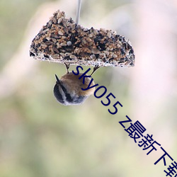 sky055 z最新下载地址