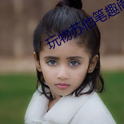 玩(玩)物(物)苏他笔(筆)趣阁