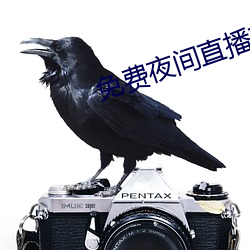 免(免)费夜(夜)间直播软(軟)件
