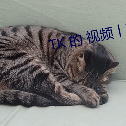 TK 的 视频丨VK