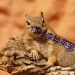 你好李(lǐ)焕英第6