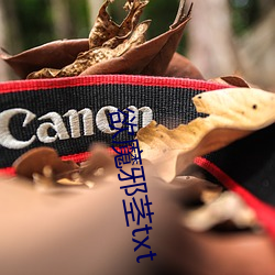 欲魔邪茎txt