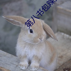 第八书(書)包(包)辣(辣)文