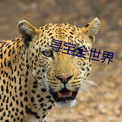 金年会(中国)官方网站
