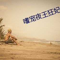 嗜宠夜王狂(kuáng)妃(fēi)