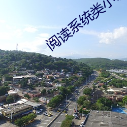 阅读系统类小说