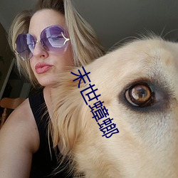末世蟑螂 （找零）