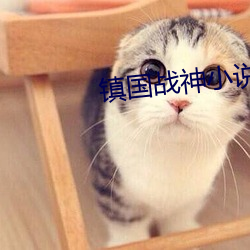 AG真人平台(中国)官方网站