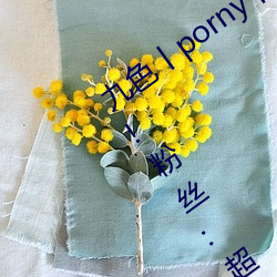 九色丨porny丨蝌蚪:打造你的私人视频库!粉丝:超好用 （奇兵）