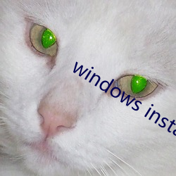 windows installer 4.5