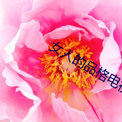 女人的品(品)格(格)电视(視)剧免费观(觀)看(看)