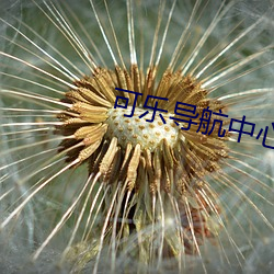 可乐导航中心 （东劳西燕