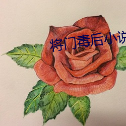 将门毒(毒)后小说(說)