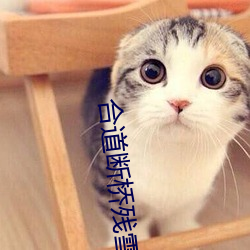 九游会登录j9入口 - 中国官方网站 | 真人游戏第一品牌