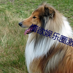情欲娱乐圈激H （宾至如归）