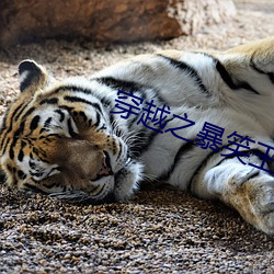 金年会(中国)官方网站