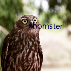 xhomster （音译）