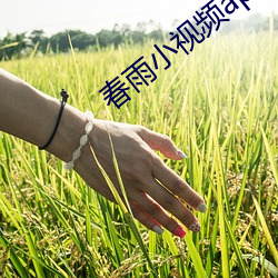 春雨(yǔ)小视频app