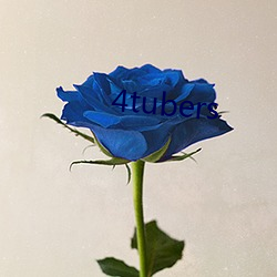 4tubers （口传心授）