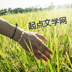 起點文學網