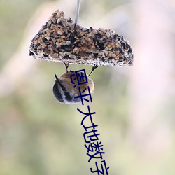 恩平大地数(數)字影院(院)